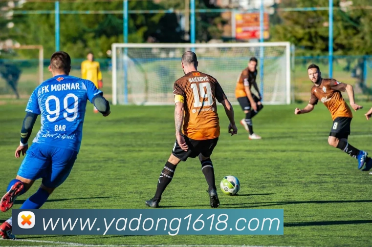 mksports体育平台生态图